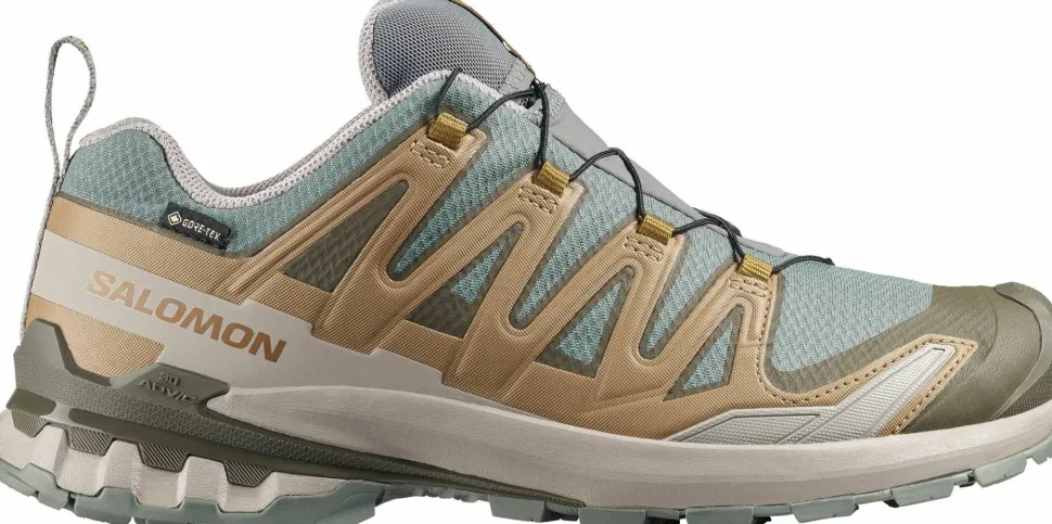 Salomon Men's XA 3D Pro V9 GORE-TEX Sedona Sage/Plantation/Paloma