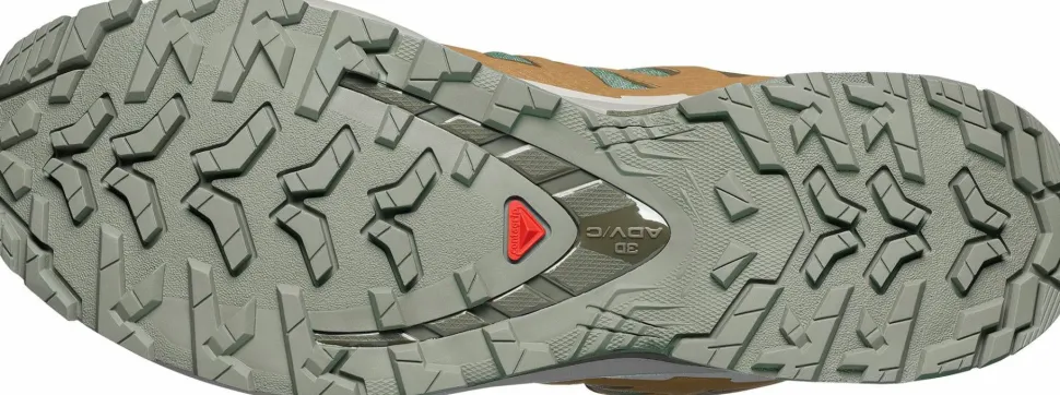 Salomon Men's XA 3D Pro V9 GORE-TEX Sedona Sage/Plantation/Paloma