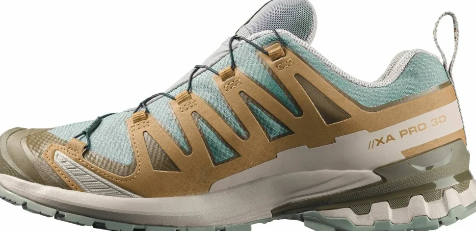 Salomon Men's XA 3D Pro V9 GORE-TEX Sedona Sage/Plantation/Paloma