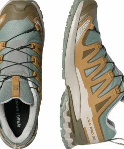 Salomon Men's XA 3D Pro V9 GORE-TEX Sedona Sage/Plantation/Paloma