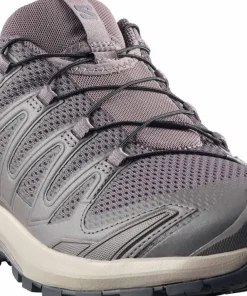 Salomon Men's XA Pro 3D V9 Dark Gull Gray/Cloudburst/Asphalt