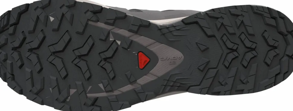 Salomon Men's XA Pro 3D V9 Dark Gull Gray/Cloudburst/Asphalt
