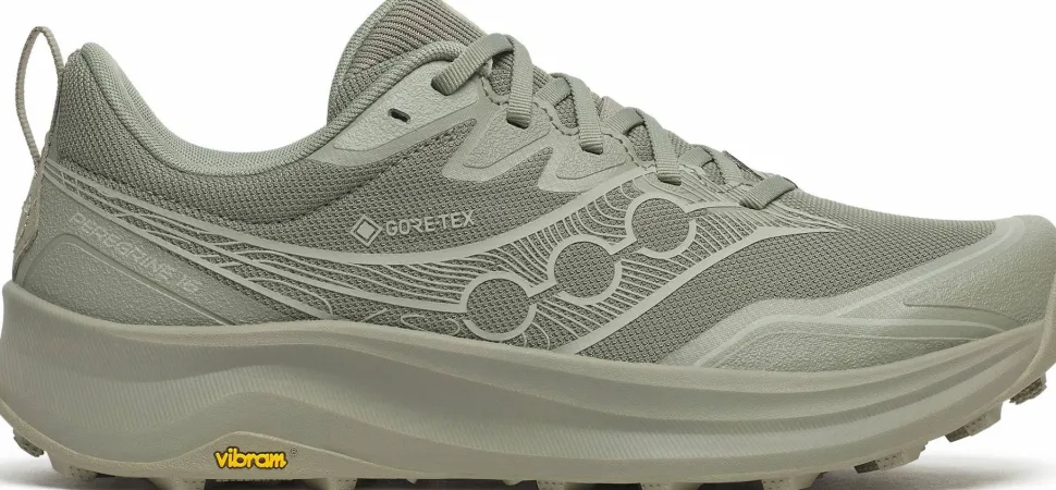 Saucony Men's Peregrine 16 GORE-TEX Laurel/sage