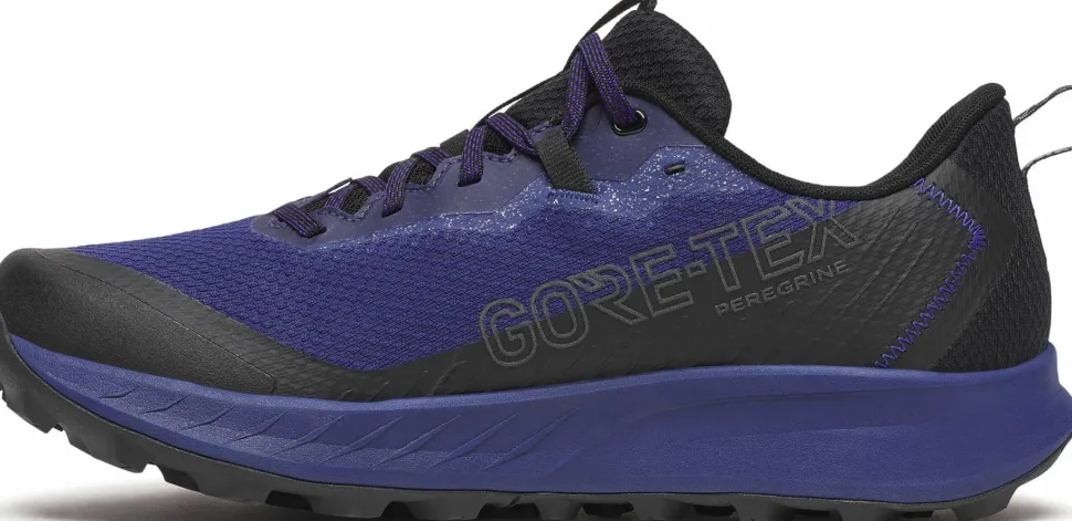 Saucony Men’s Peregrine 15 GORE-TEX Regal/Black