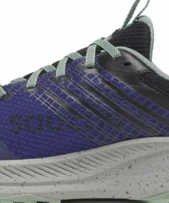 Saucony Men's Ride Tr2 Gore-Tex Regal/black